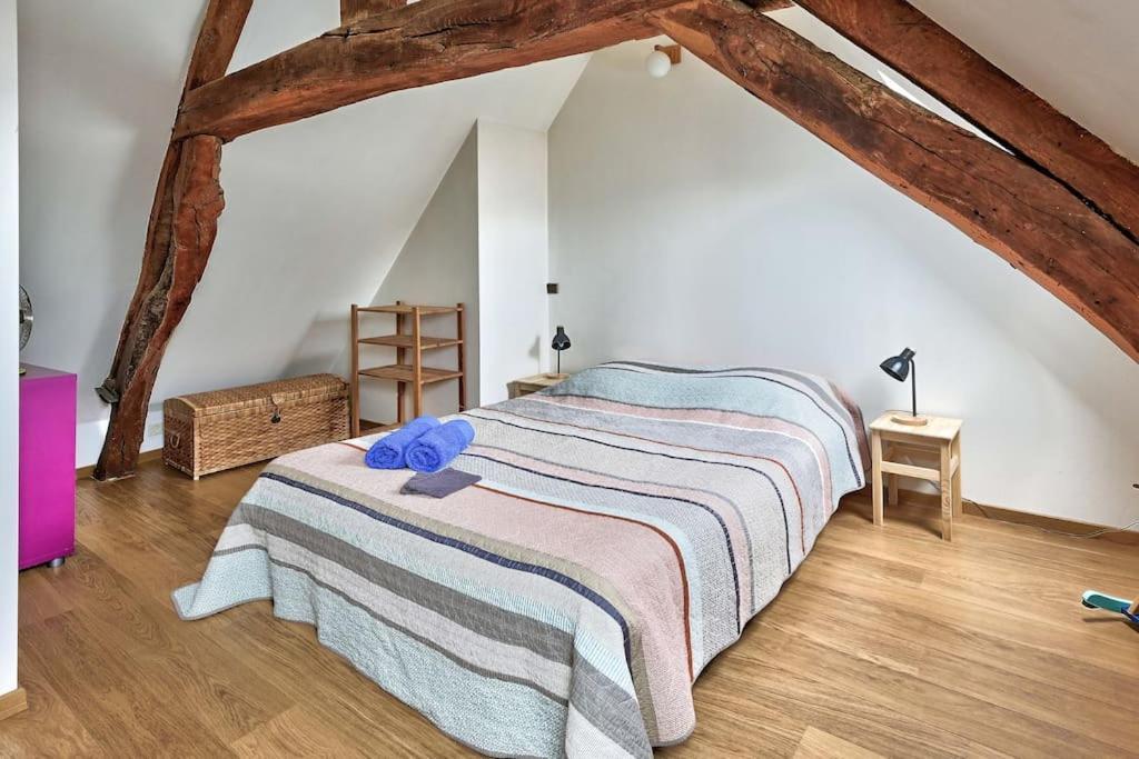 Maison De Ville Spacieuse Et Calme En Plein Coeur D'Αμιάν Εξωτερικό φωτογραφία